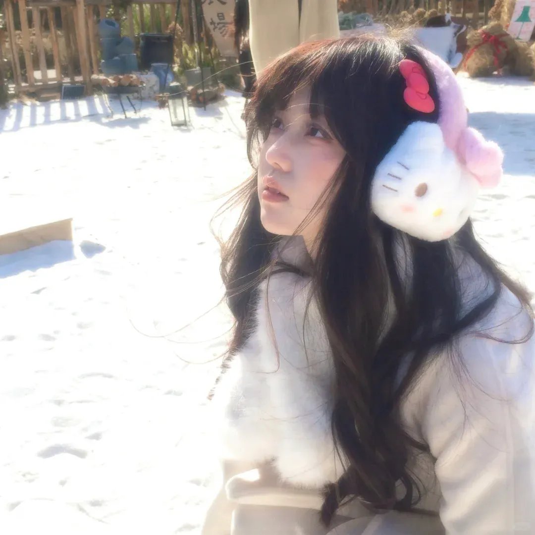 为什么猫都叫不来